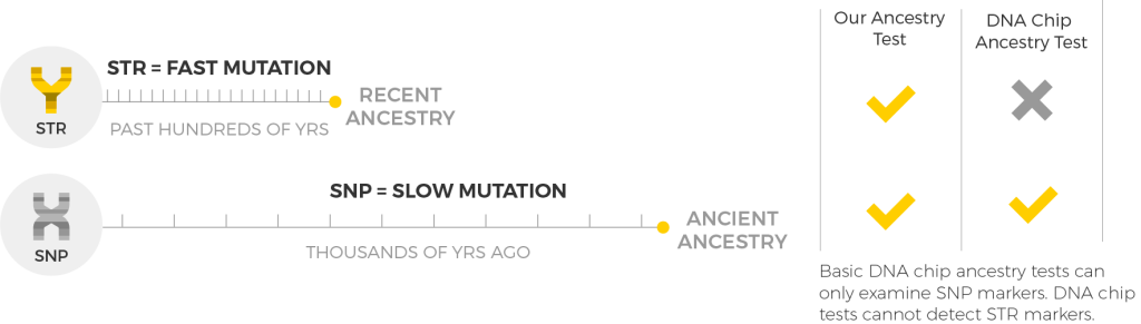 home fast str mutation